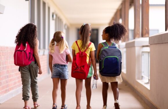 School book grants