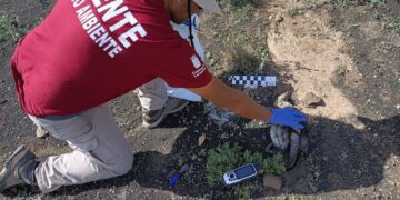 More than 70 environmental complaints on Lanzarote