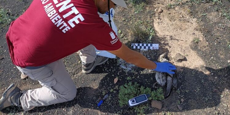 More than 70 environmental complaints on Lanzarote
