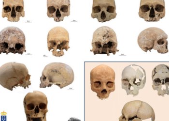 Secrets of the bones