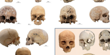 Secrets of the bones