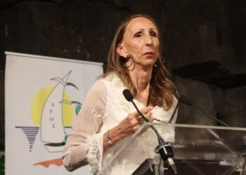 AFOL dinner raises €10,000