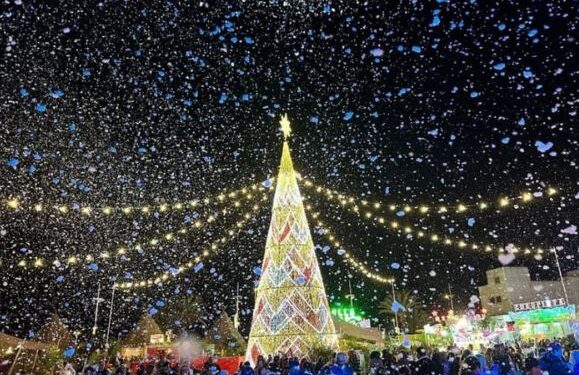 Arrecife Christmas fair records over 100,000 visitors