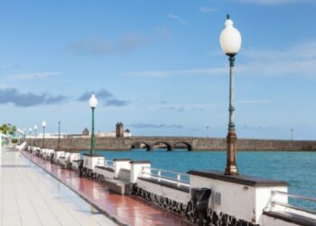 Beginners Guide To Arrecife