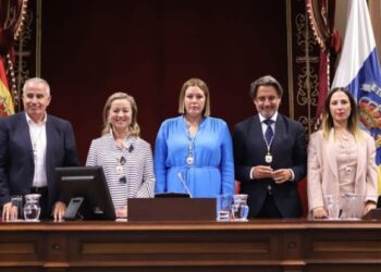 Arrecife Mayor stands down