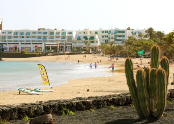 Teguise asks for public cooperation to keep gardens clean