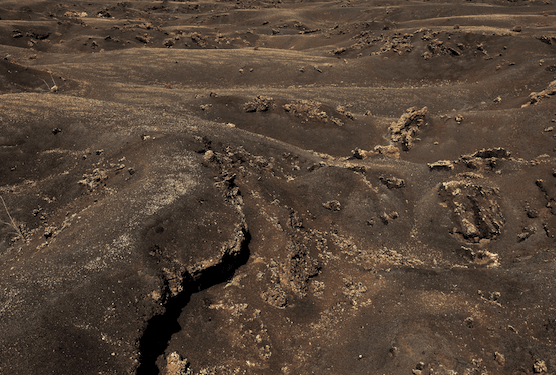 Bad Trip