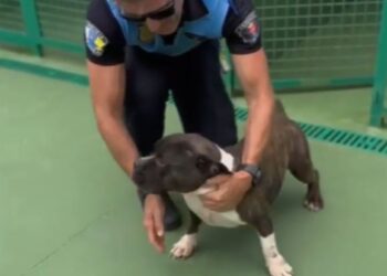 Arrecife police visit rescued dog “Bambam”