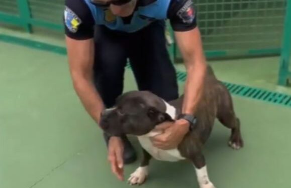 Arrecife police visit rescued dog “Bambam”