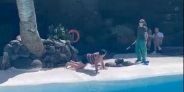 Jameos del Agua bather caught on video