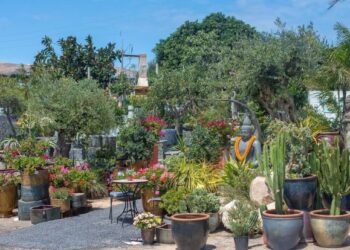 “A beautiful garden centre not to be missed”
