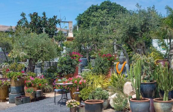 “A beautiful garden centre not to be missed”