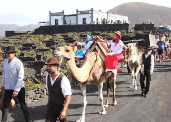 Bodega La Geria wine fiesta tomorrow
