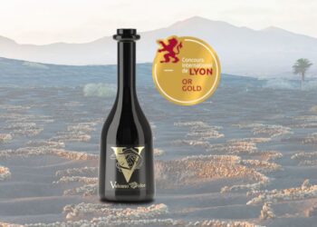 Bodega Vulcano win gold medal at Concours de Lyon 2024