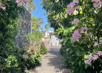 Build the garden of your dreams