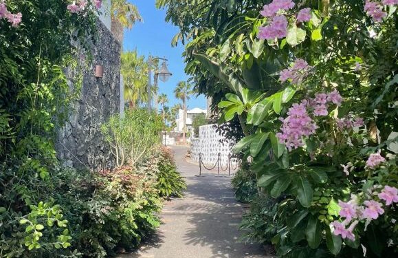 Build the garden of your dreams