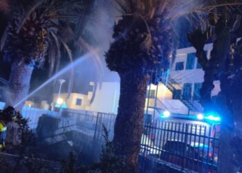 Burning palm in Puerto del Carmen