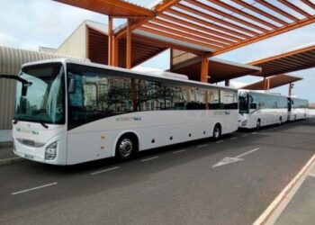 Bus boom