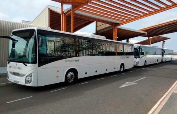 Bus boom