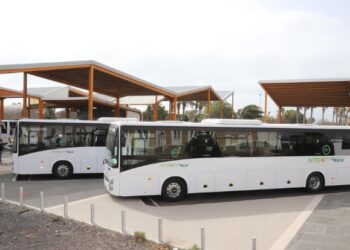 Cabildo provides special buses for Famara fiesta