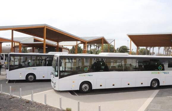 Cabildo provides special buses for Famara fiesta