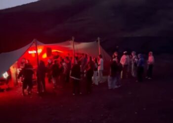 Cabildo take action against illegal party in La Geria
