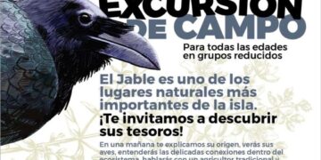 Explore Lanzarote’s hidden treasures with the Cabildo