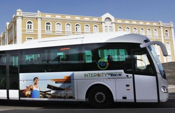 Cabildo organises bus service for Los Remedios festivities