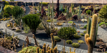 Cactus Garden Closed