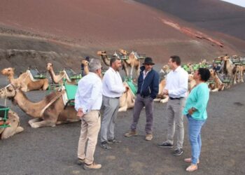 New camel ride rates in effect from today