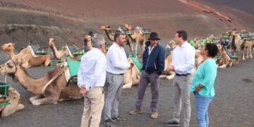 New camel ride rates in effect from today