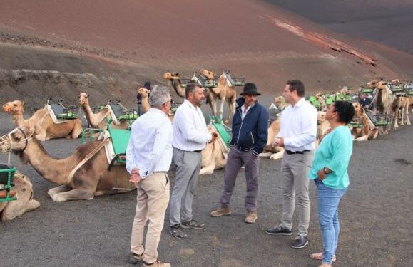 New camel ride rates in effect from today