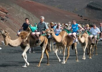 Camel fares rise