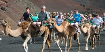 Camel fares rise