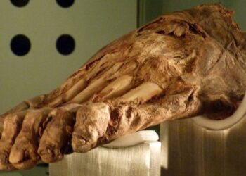 New light on Canarian prehistory