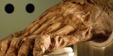 New light on Canarian prehistory