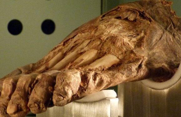 New light on Canarian prehistory