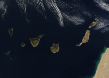 Canaries control cases
