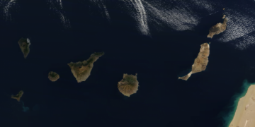 Canaries control cases