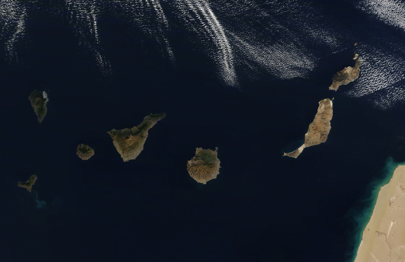 Canaries control cases