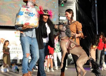 Noa wins at Playa Blanca’s Canine Carnival
