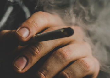 Cannabis club faces sentencing