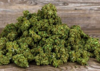 The laws on Cannabis on Lanzarote