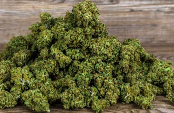 The laws on Cannabis on Lanzarote