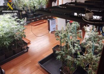 Cannabis confiscated