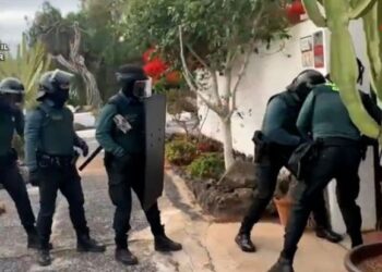 Police dismantle marijuana plantation