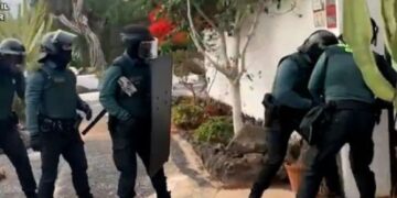 Police dismantle marijuana plantation