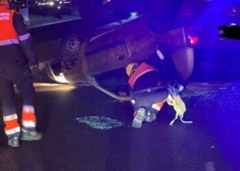 Car crash at roundabout