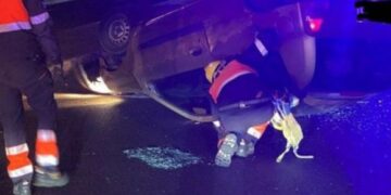 Car crash at roundabout