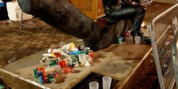 Arrecife Carnival celebrations leave 720 kilos of rubbish
